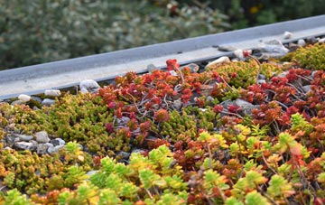 the cost of Warrens Green green roof installation