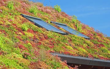 Warrens Green living roof systems