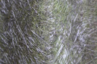 Warrens Green fibreglass roof work